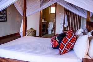 Adere Safari Lodge