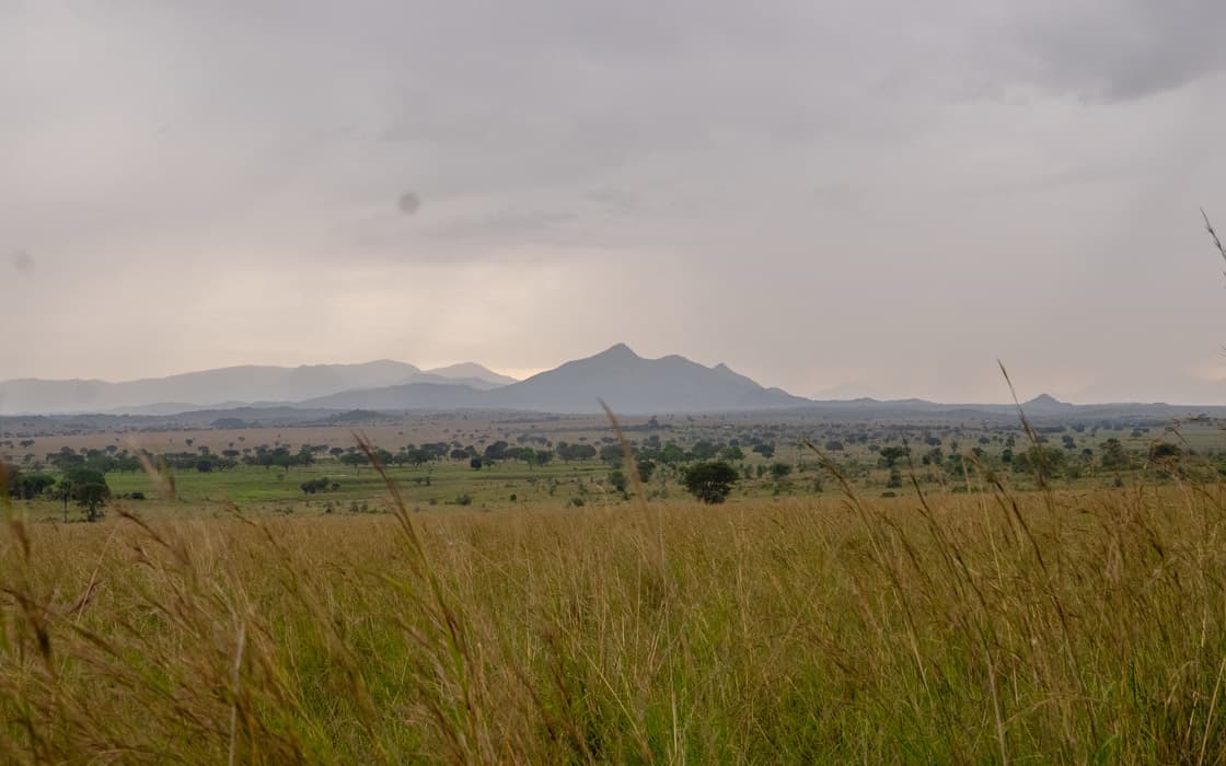 Savanna and hills of the Kidepo Valley